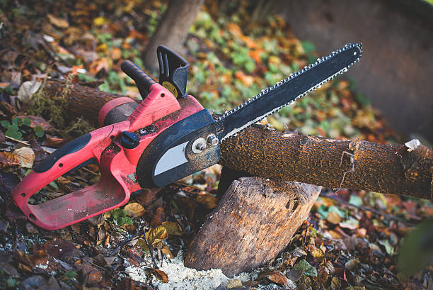 Best Hazardous Tree Removal  in Syracuse, UT